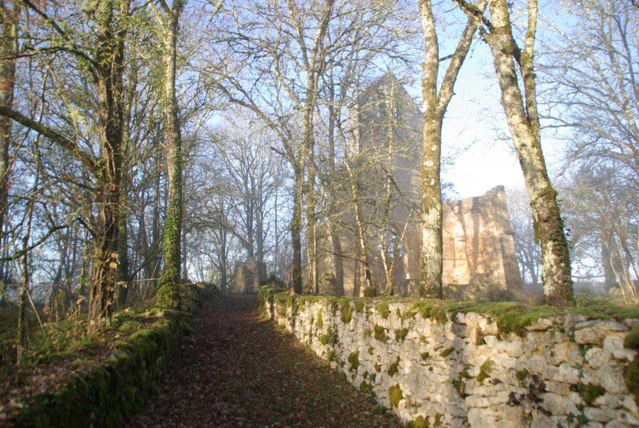Les Maisons Du Cheylard-Lascaux Villa Les Farges  Esterno foto